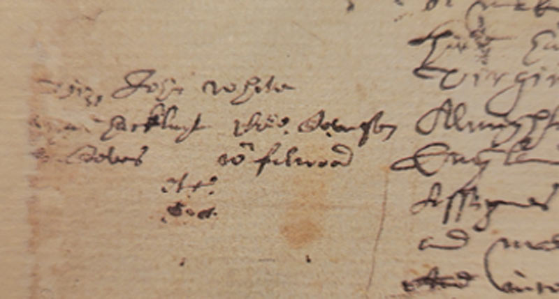 1586 Grant Of Arms